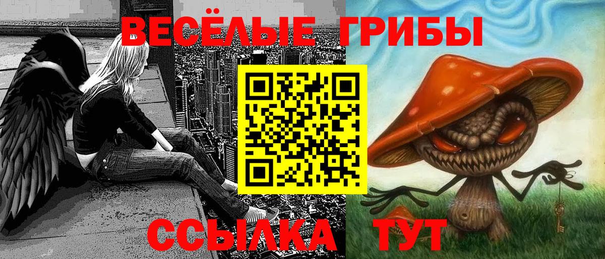 Псилоцибиновые грибы Magic Shrooms  Галлюциногенные грибы Psilocybe  Вход с VPN  Архангельск 