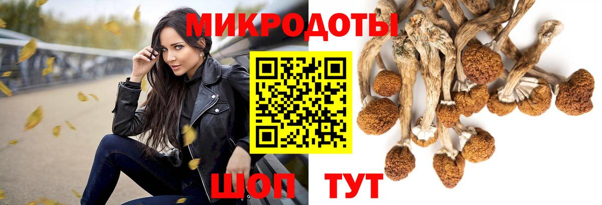 Галлюциногенные грибы мухоморы Архангельск
